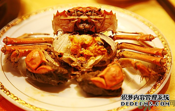 盘锦河蟹什么时候最好?盘锦河蟹什么时候最肥? 盘锦河蟹什么时候最好?盘锦河蟹什么时候最肥?