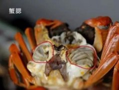 螃蟹有不能吃的地方吗？