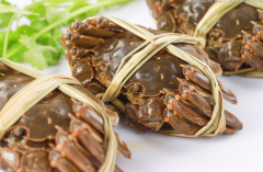 盘锦河蟹和哪些蔬菜一起吃会中毒？