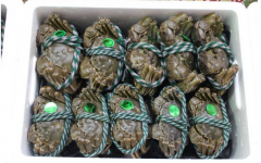盘锦螃蟹怎么挑选才能选到最正中的盘锦河蟹？