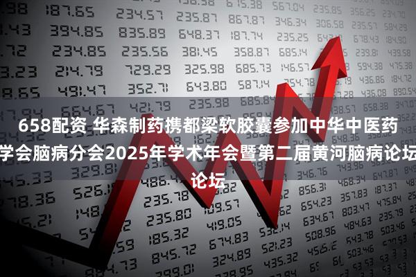 658配资 华森制药携都梁软胶囊参加中华中医药学会脑病分会2025年学术年会暨第二届黄河脑病论坛