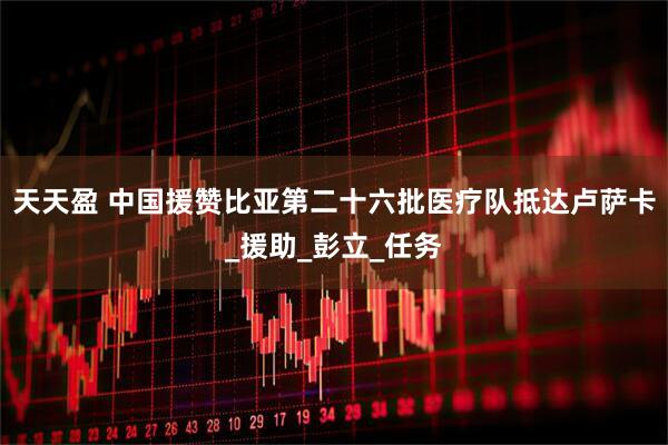 天天盈 中国援赞比亚第二十六批医疗队抵达卢萨卡_援助_彭立_任务